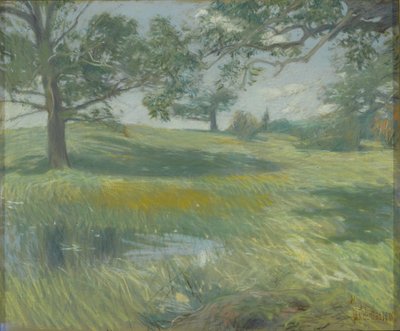Meadows, c.1900-10 (tuval üzerine pastel) by Childe Frederick Hassam