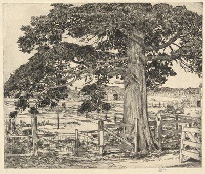 Büyük Sedir, Wainscott, L. I., 1929 by Childe Hassam