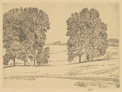 Bir Hayfield
