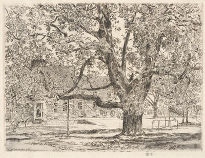 Büyük At Kestanesi Ağacı, Easthampton by Childe Hassam