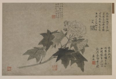 Bir ağaç şakayık dalı, muhtemelen Qing hanedanı (kağıt üzerine mürekkep) by Chinese School