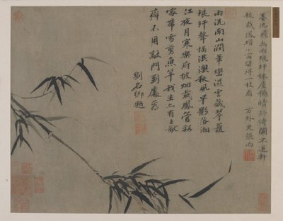 Bambu spreyi, muhtemelen Qing hanedanı (kağıt üzerine mürekkep) by Chinese School