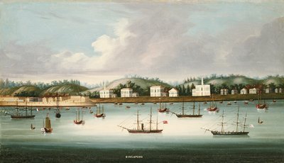 Amerikan, Fransız ve İngiliz gemileriyle yollardan Singapur