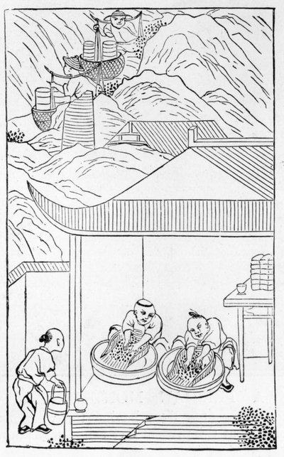 Çin üretimine ilişkin bir dizi resimden renklendirme için mavi emayenin toplanması ve yıkanması (tüm seri için bkz. 384116 ve 384117) by Chinese School