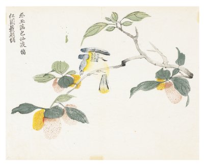 Hardal Tohumu Bahçesi by Chinese School