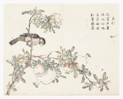 Hardal Tohumu Bahçesi by Chinese School