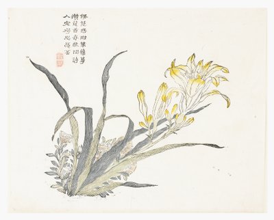 Hardal Tohumu Bahçesi by Chinese School