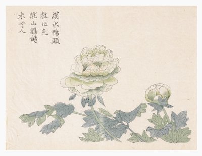 Hardal Tohumu Bahçesi by Chinese School