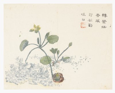 Hardal Tohumu Bahçesi by Chinese School