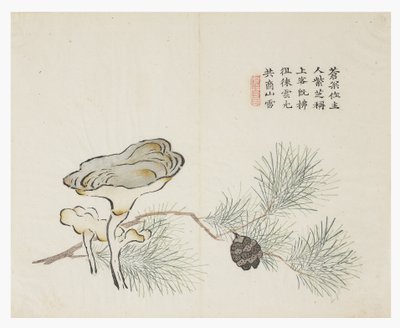 Hardal Tohumu Bahçesi by Chinese School