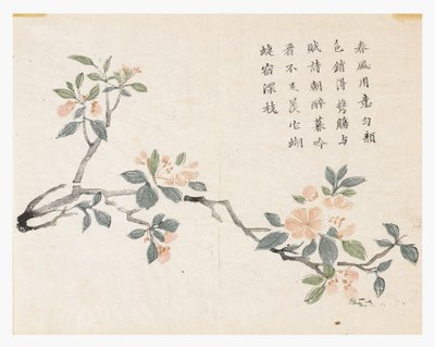 Hardal Tohumu Bahçesi by Chinese School