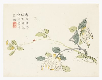 Hardal Tohumu Bahçesi by Chinese School