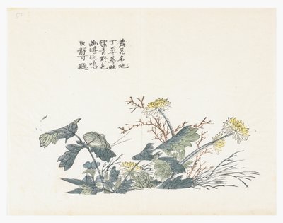 Hardal Tohumu Bahçesi by Chinese School