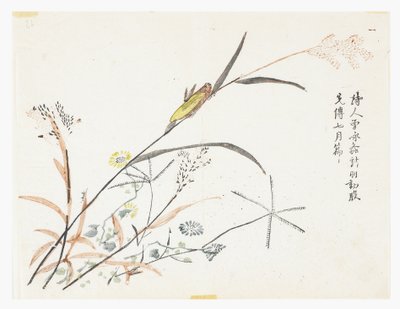 Hardal Tohumu Bahçesi by Chinese School