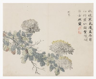 Hardal Tohumu Bahçesi by Chinese School