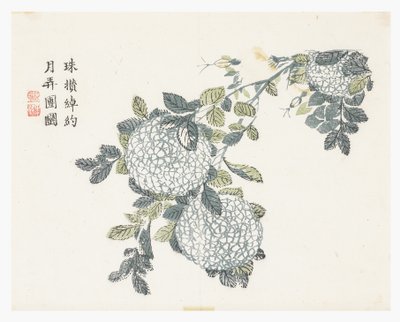 Hardal Tohumu Bahçesi by Chinese School