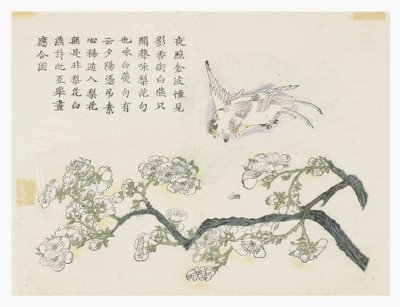 Hardal Tohumu Bahçesi by Chinese School