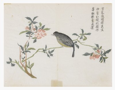 Hardal Tohumu Bahçesi by Chinese School
