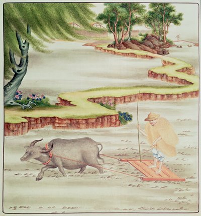 Çeltik tarlalarında çalışan köylü by Chinese School