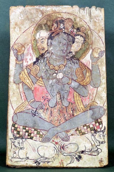 Dandan-Wiliya