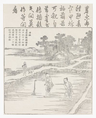 Bir tohum yatağında pirinç ekimi., 18. yüzyıl by Chinese School