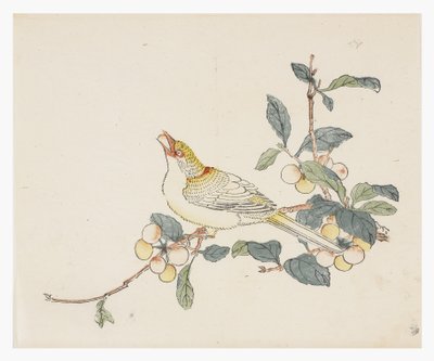 On Bambu Serisi, 18. yüzyıl by Chinese School