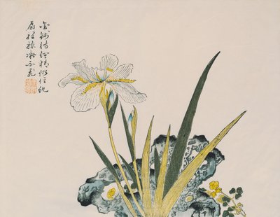 Hardal Tanesi Kadar Büyük Bahçe, 17.-18. yüzyıl by Chinese School