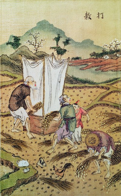 Pirinç Hikayesi by Chinese School