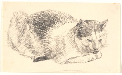 yalancı kedi by Christen Købke