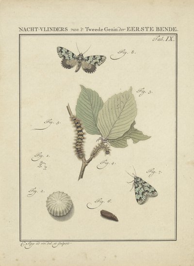güveler Birinci Çetenin İkinci Ailesinin Güveleri (nesnedeki başlık) by Christiaan Sepp