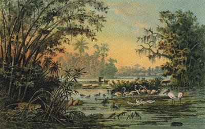 Orta Orinoco, Venezuela