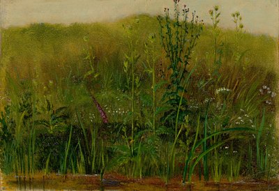  by Christian Friedrich Gille