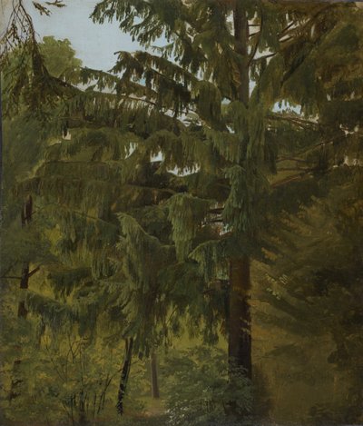 Yaprak döken ormanda köknar by Christian Friedrich Gille