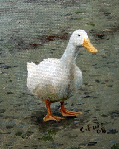 by Christian Furr