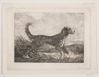 Bir köpek by Christian Holm