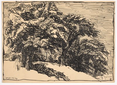 Bir bankada meşe ağaçları by Christian Kongstad Petersen
