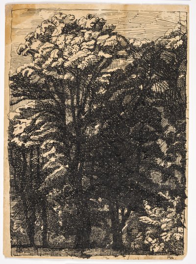 ağaçlar by Christian Kongstad Petersen