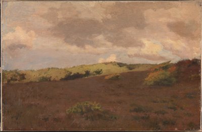 Heath manzara. Düşmek by Christian Mourier Petersen