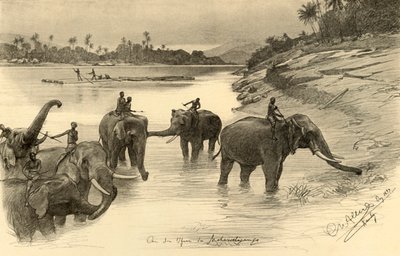 Mahaweli Nehri kıyısındaki filler, Seylan, 1898. by Christian Wilhelm Allers