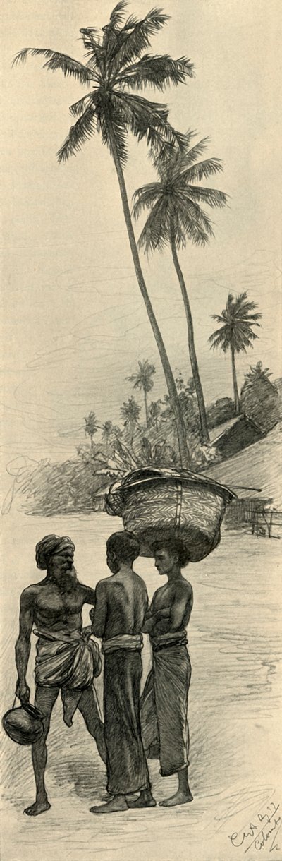 Bir grup erkek, Kolombo, Seylan, 1898. by Christian Wilhelm Allers