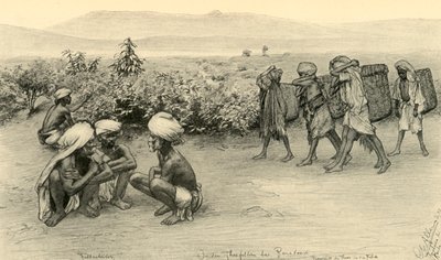 Çay toplayıcıları, Peradeniya, Seylan, 1898. by Christian Wilhelm Allers