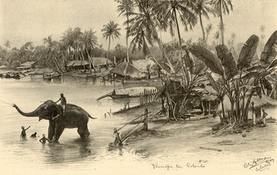Nehirde bir fil yıkamak, Kolombo, Seylan, 1898. by Christian Wilhelm Allers