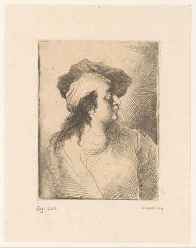 Bere ile yukarı bakan şekil by Christian Wilhelm Ernst Dietrich
