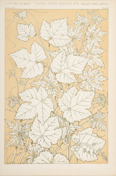 Doğadan Yapraklar, 1868 (chromolitho) by Christopher Dresser