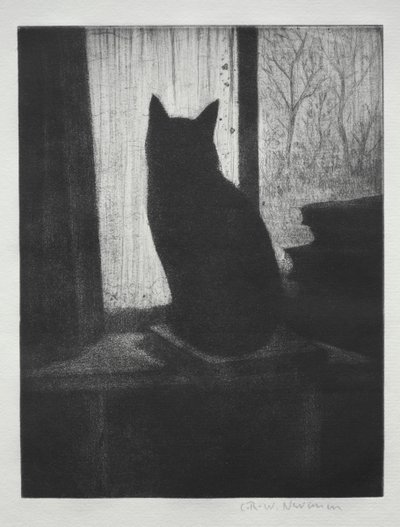 Kedi by Christopher Richard Wynne Nevinson