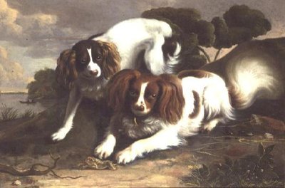 Bir Kurbağayla Oynayan İki Kral Charles Spaniel by Christopher Pierson
