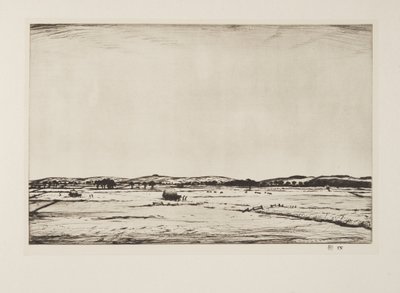 Sussex Downs, pub.1926 (gravür) by Christopher Richard Wynne Nevinson