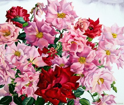 Kırmızı ve Pembe Güller, 2008 (kağıt üzerinde wc) by Christopher Ryland