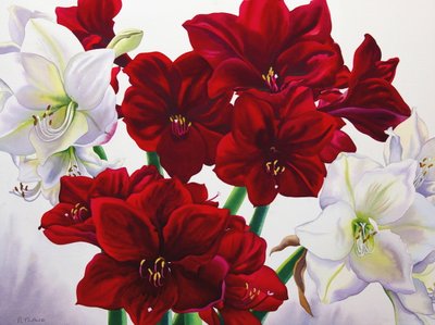 Kırmızı Beyaz Amaryllis, 2008 (kağıt üzerinde wc) by Christopher Ryland