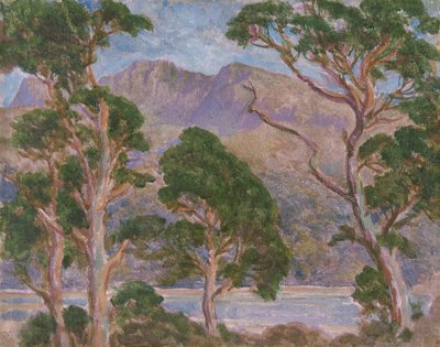 Cader Idris (tuval üzerine yağlıboya) by Christopher Williams